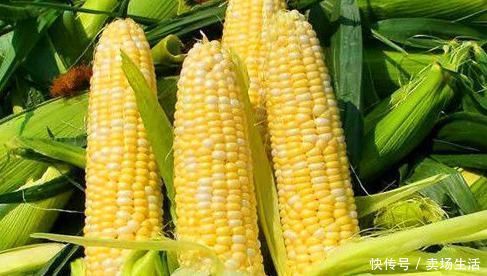 护肤|女性到了中年常吃的食物,刮油减脂,排毒护肤,预防子宫早衰