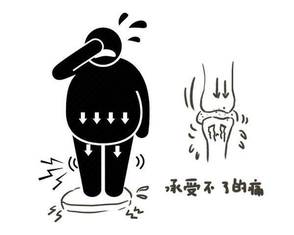 膝盖|秋高气爽,登高望远?对于老年人,爬山时别忘了做好这3个细节