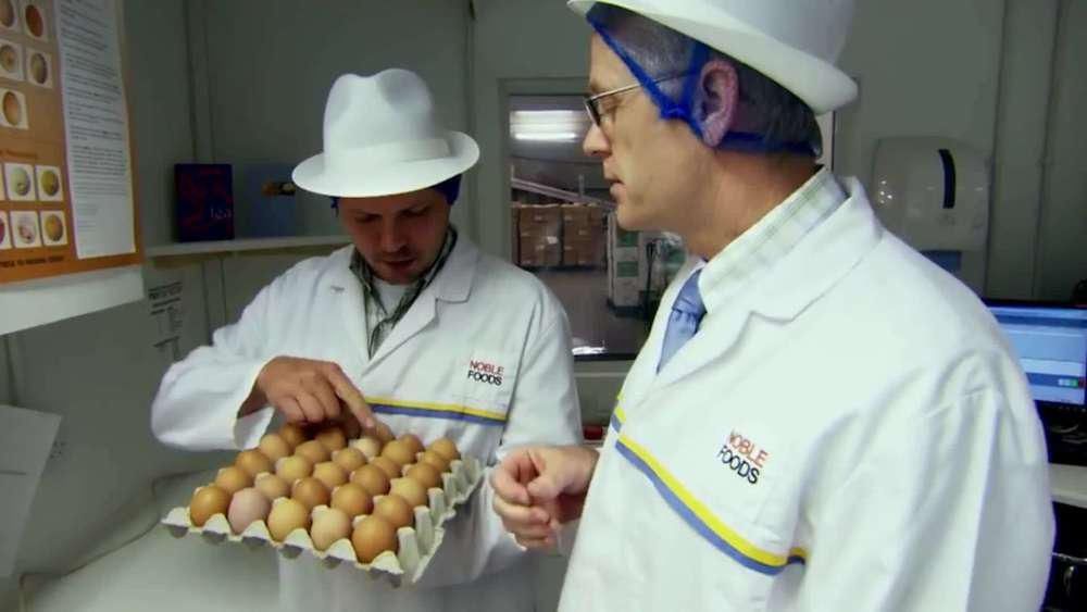 工厂|超市的鸡蛋不是母鸡下的实拍工厂生产鸡蛋全程,看完终于明白了