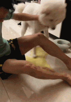 |搞笑GIF:伤害性不大 侮辱性极强的瞬间