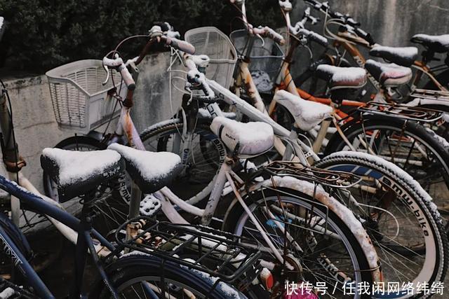 浪漫|多图预警！南大金陵今冬初雪浪漫来袭！