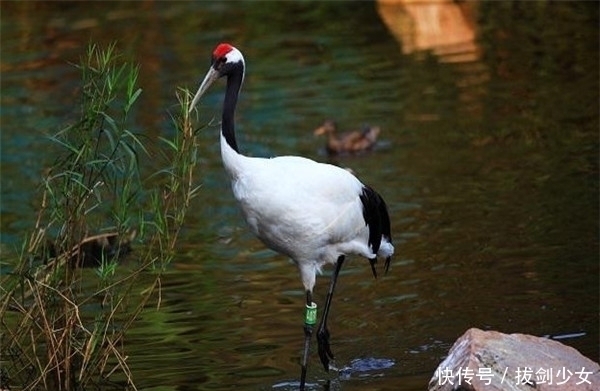 才干|盘点那些猝不及防的爆笑瞬间,坐地铁也疯狂,笑s我了