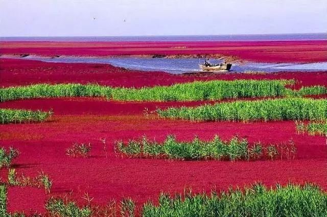 中国最美六大沼泽湿地，养在深闺无人识，去过的都惊叹不已