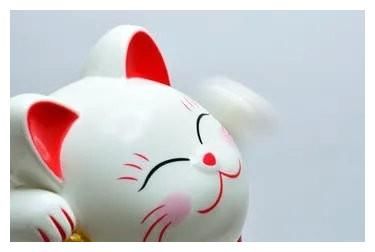 几乎所有商店都有的招财猫 它们的真实含义竟然是 快资讯