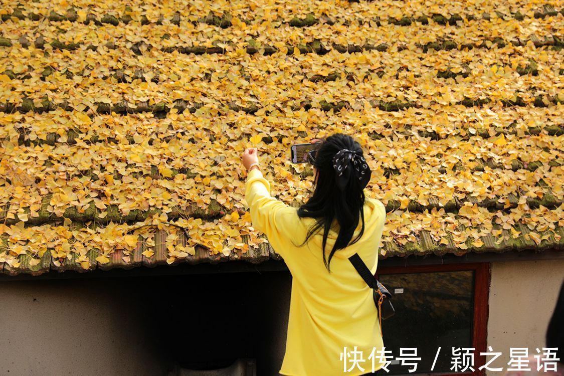 秋色|古村秋色美,堵车绵延十里不绝,还没到村,天黑了