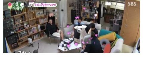 李尚敏|李尚敏向蹭住崔振赫家中，并极力撮合自己的猫和崔振赫的狗！