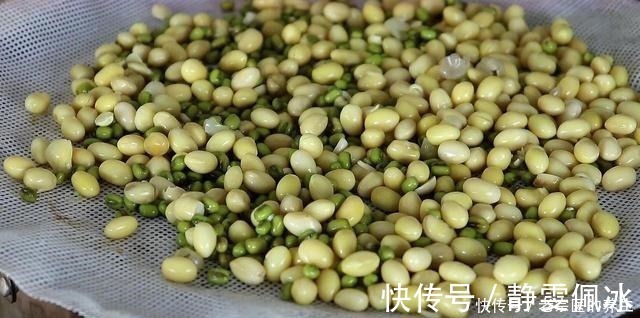 绿豆泡|黄豆不打豆浆了，加1把绿豆，简单一做，天天吃都不腻，太香了