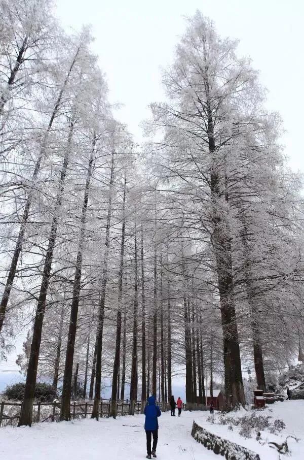 雪景如斯，大美汉江源