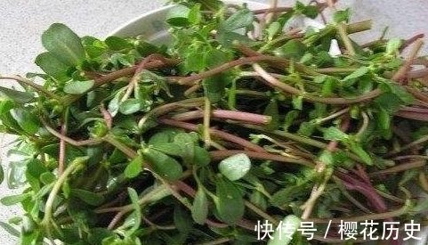 农民朋友|农村常见一种野菜,农民常晒干吃别有风味,还能入药抑菌消炎