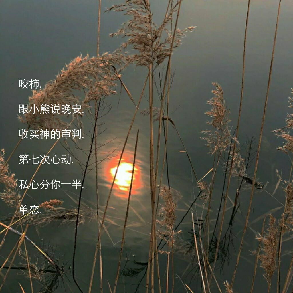 让心动超标的小众网名