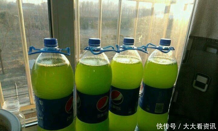 养花浇了“夺命水”,难怪烂根、黄叶,2种水“千万”别乱用