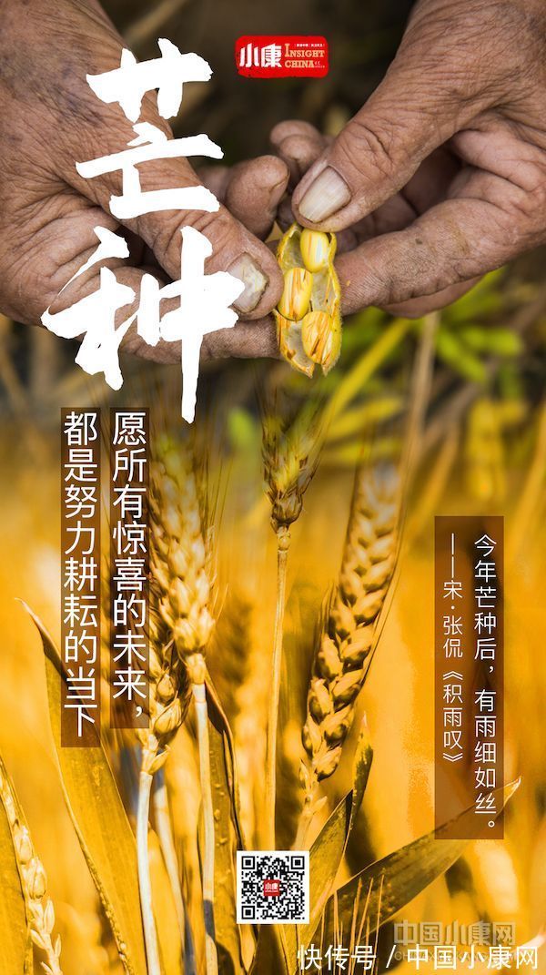 翠竹亭亭！万物有时 岁月成诗：打开二十四节气的另一种方式