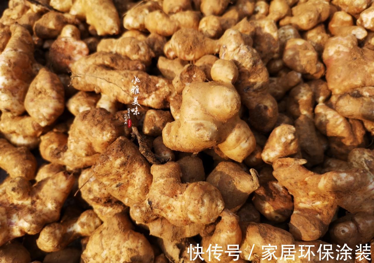 洋姜花 洋姜花