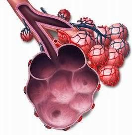 患上肺大泡疾病会出现哪些症状 快资讯