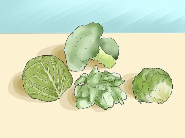 营养物质|小姐姐必看!应急减肥方法如何在10天内减重10斤