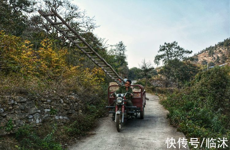 静怡|再游柿子沟