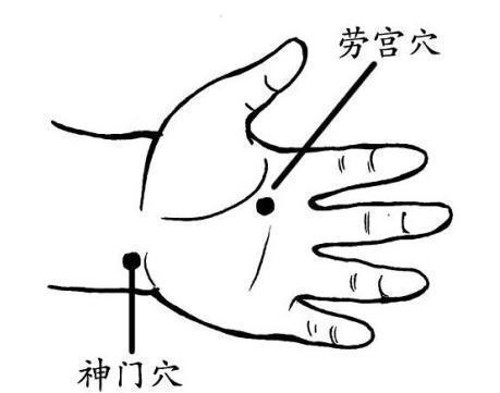 开关|肚子减肥的两大“开关”!每天敲敲轻松减肥