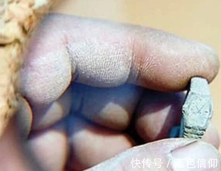 盗墓者|明墓6百年前的戒指“瑞士手表”不是盗墓者的,是时空穿越吗
