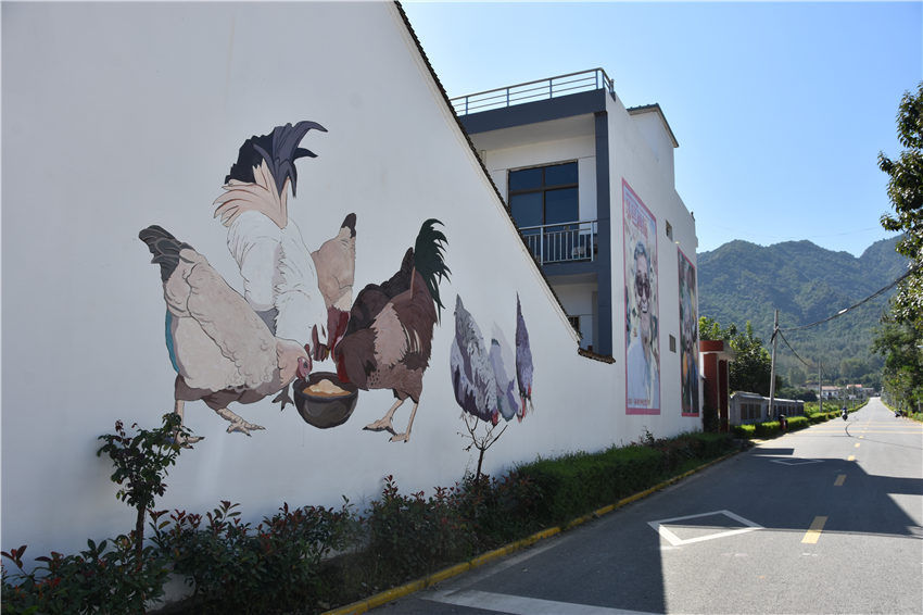 赵影超|昔日落后的小山村，如今成了全国闻名的旅游村