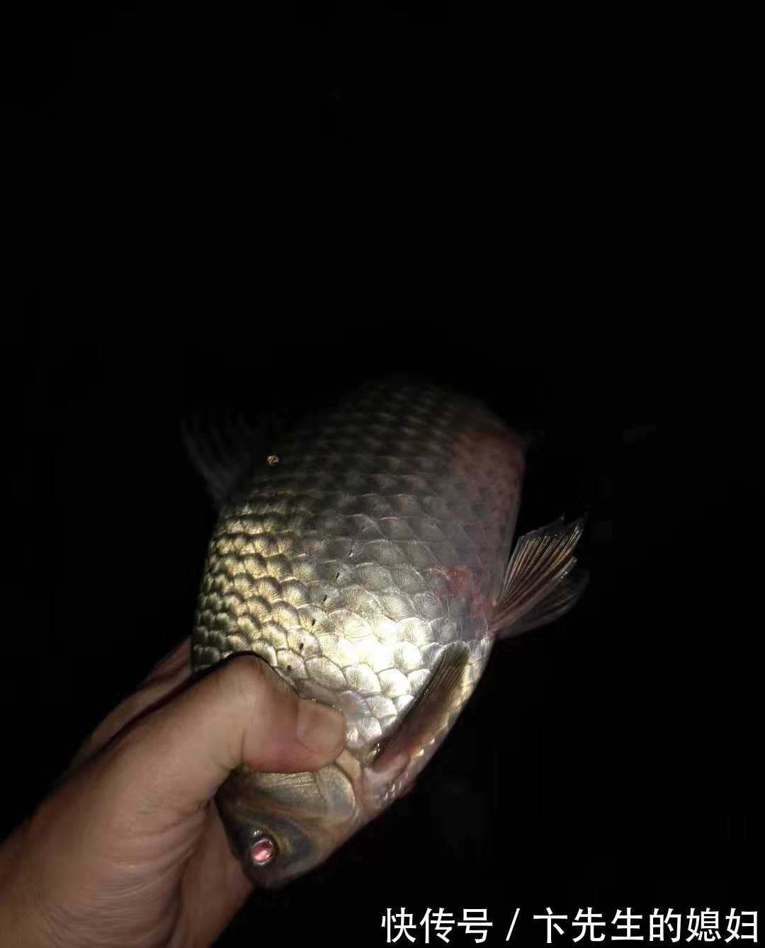 野钓|冬天野钓的别急着封竿,给你支几招,钓不到鱼捶我