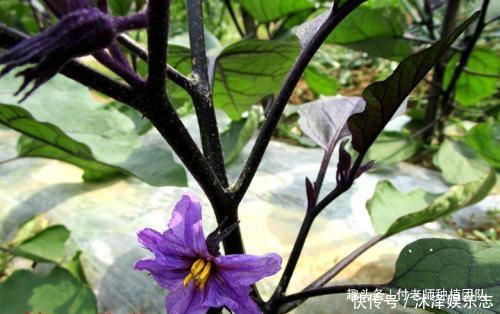 8na38quzjehq3m 8na38quzjehq3m