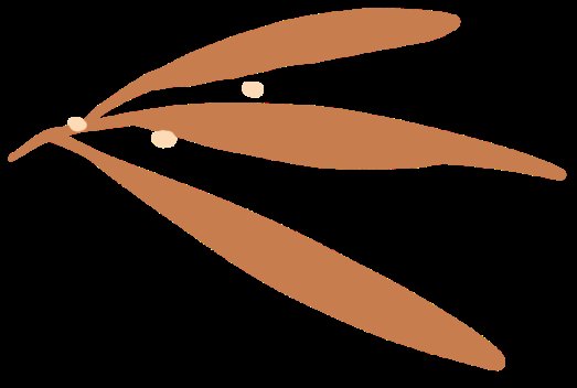 枣仁|名中医谈健康丨杨致芳谈失眠的防治