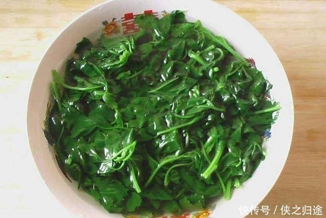 野草|农村这种野草,有人用它炖鸡汤,有人用它来喂猪,殊不知价值极高