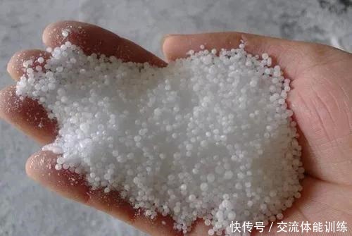 浇花水摻点它，比营养液、淘米水还肥，家里花草长得叶绿、花多！