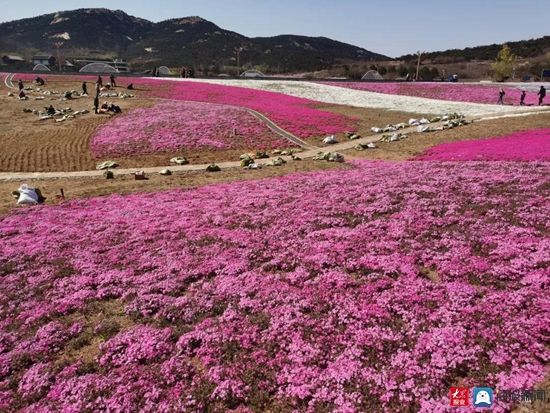 走在东港的春天里⑨：暮春之际｜不负春光不负景，淡云流水观“石老山”！