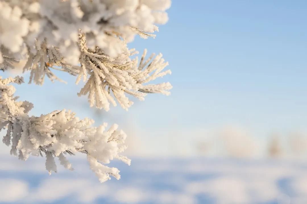  迎来|今日大雪丨今日0时9分迎来大雪节气 仲冬时节正式开始