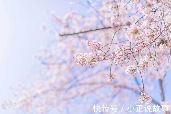 谶纬&王充在前人思想的基础上,其元气自然理论具有划时代意义