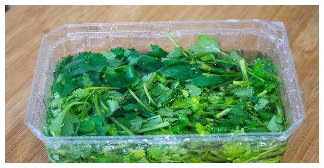 香菜保存有诀窍,3种储存方法,随吃随取,不发黄不腐烂,去试试