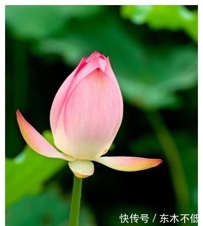 贵人|未来一个月,4属相有贵人提携,升职加薪,心情大好,生活无忧