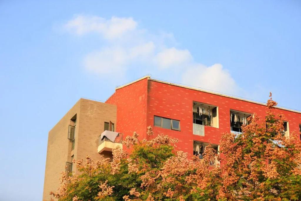  校园也就|今天教“理”凡尔赛