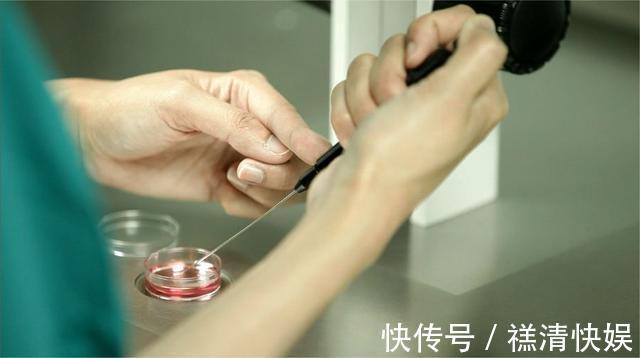 胚胎|过来人劝告“不要轻易做试管婴儿,四个潜在风险,伤财又伤身”