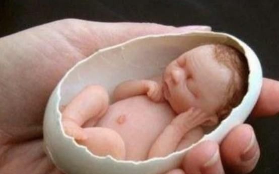 摇篮|曾经的最小婴儿用蛋壳当摇篮,现在13年过去了,她怎么样了