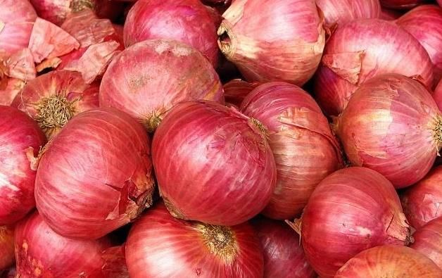  冬季|冬季常吃这4种应季食物，或许可以温暖肠胃，助你“温暖”过冬