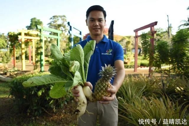 现在有个菜园才是人生赢家，450㎡可食用花园，实现你的吃货自由