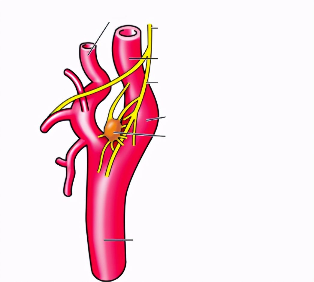 如勒|小孩子打闹，叮嘱孩子一定不要勒脖子啊