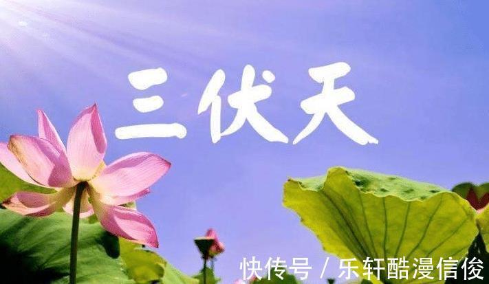 红豆|临近“三伏天”,这6种美食记得吃,好吃不贵营养高,顺利度伏天