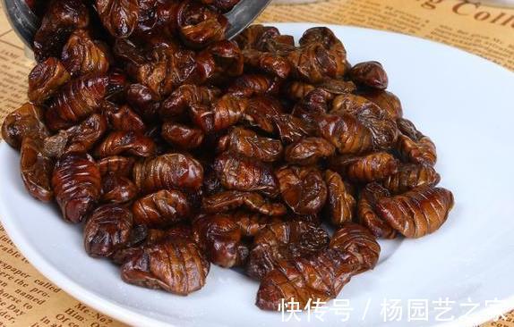 软黄金|人到中老年:不论有钱没钱!建议多吃“软黄金”,胜过天天人参汤