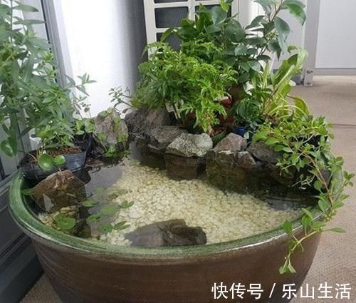 老物件|农村大水缸越来越不舍得扔了，铺些碎石水草变水景，城里人抢着要