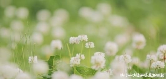 投资理财|出生在几点钟的孩子，有财神爷庇护，旺父旺母旺全家，富足安康