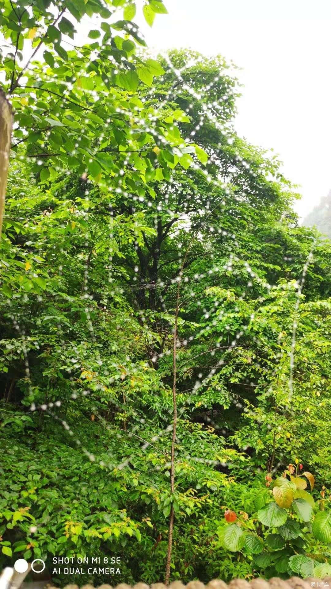 桃花源|醉氧青城后山