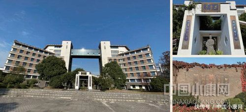 探索|【小康人物】杨培明:探索“大美育”