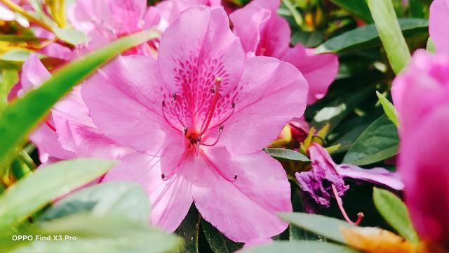 CP榜一“浪浪钉”出江湖再就业？龚俊打赢Uzi，张哲瀚被扒黑历史