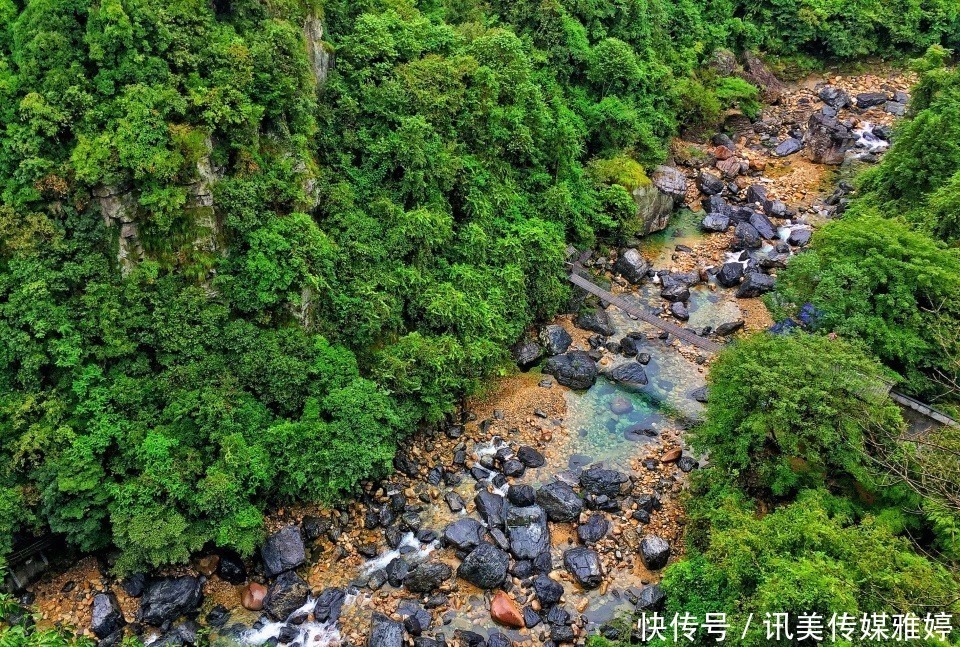 主峰|皖南被遗忘的一座山，古时与黄山齐名，今成华东地区动植物基因库