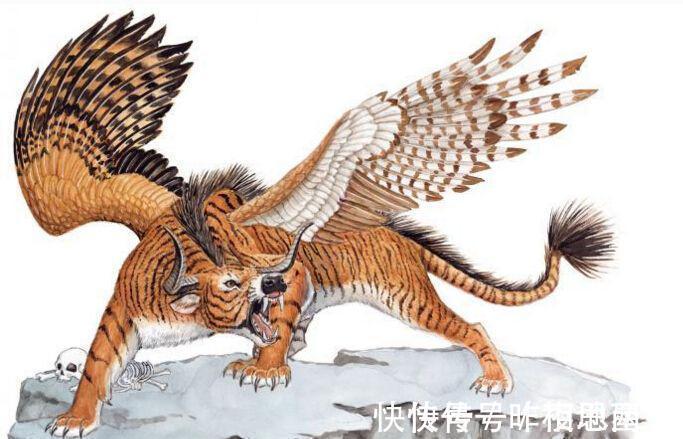 多罗罗&远古人类站在食物链顶端?《山海经》:“你想多了”