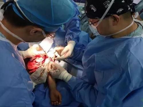 胎儿|那些被打掉的"胎儿"们,最后都到哪儿去了呢?网友:珍爱生命