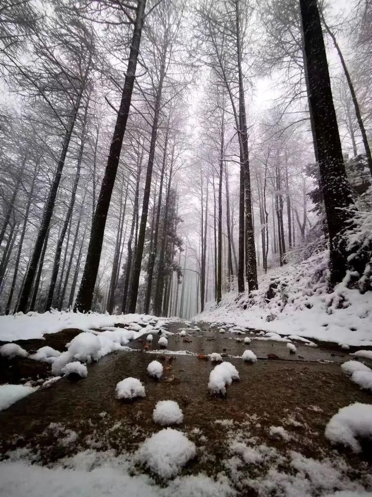 邂逅|来莫干山，邂逅一场冰雪奇缘吧！